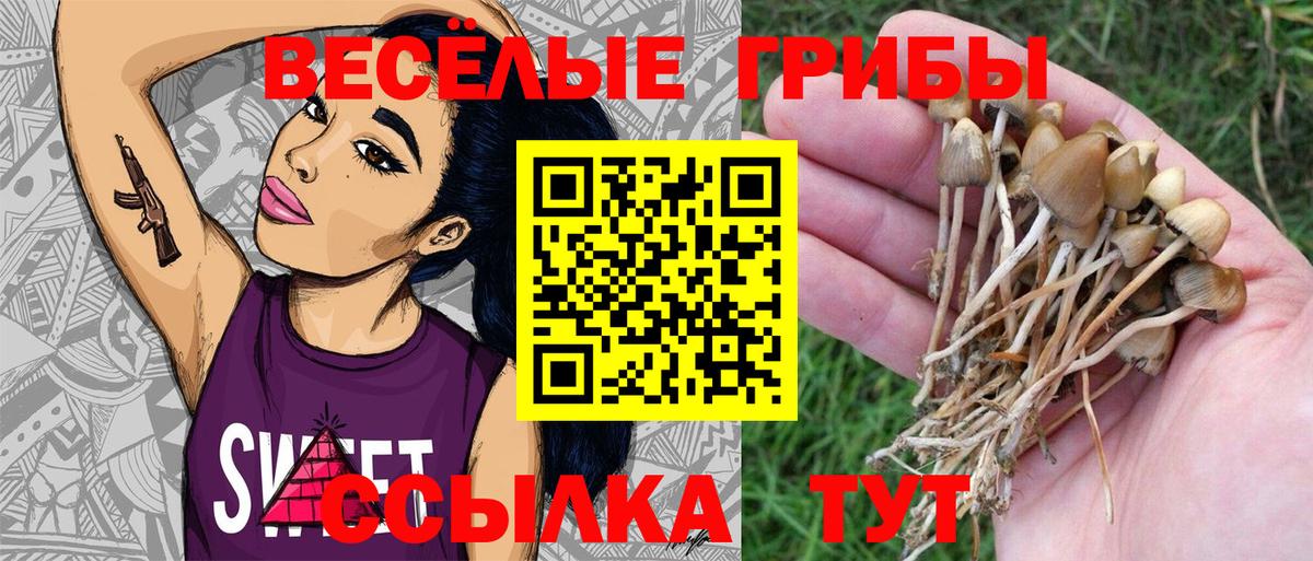 где найти   Вход с VPN  Галлюциногенные грибы ЛСД  Комсомольск-на-Амуре  Псилоцибиновые грибы Psilocybe 